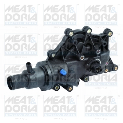 Thermostat, coolant